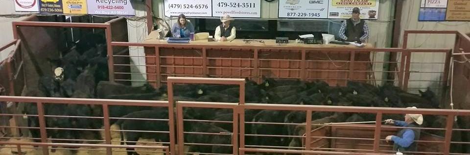 Auctions Held Every Thursday At 11 00 A M Benton County Sale Barn